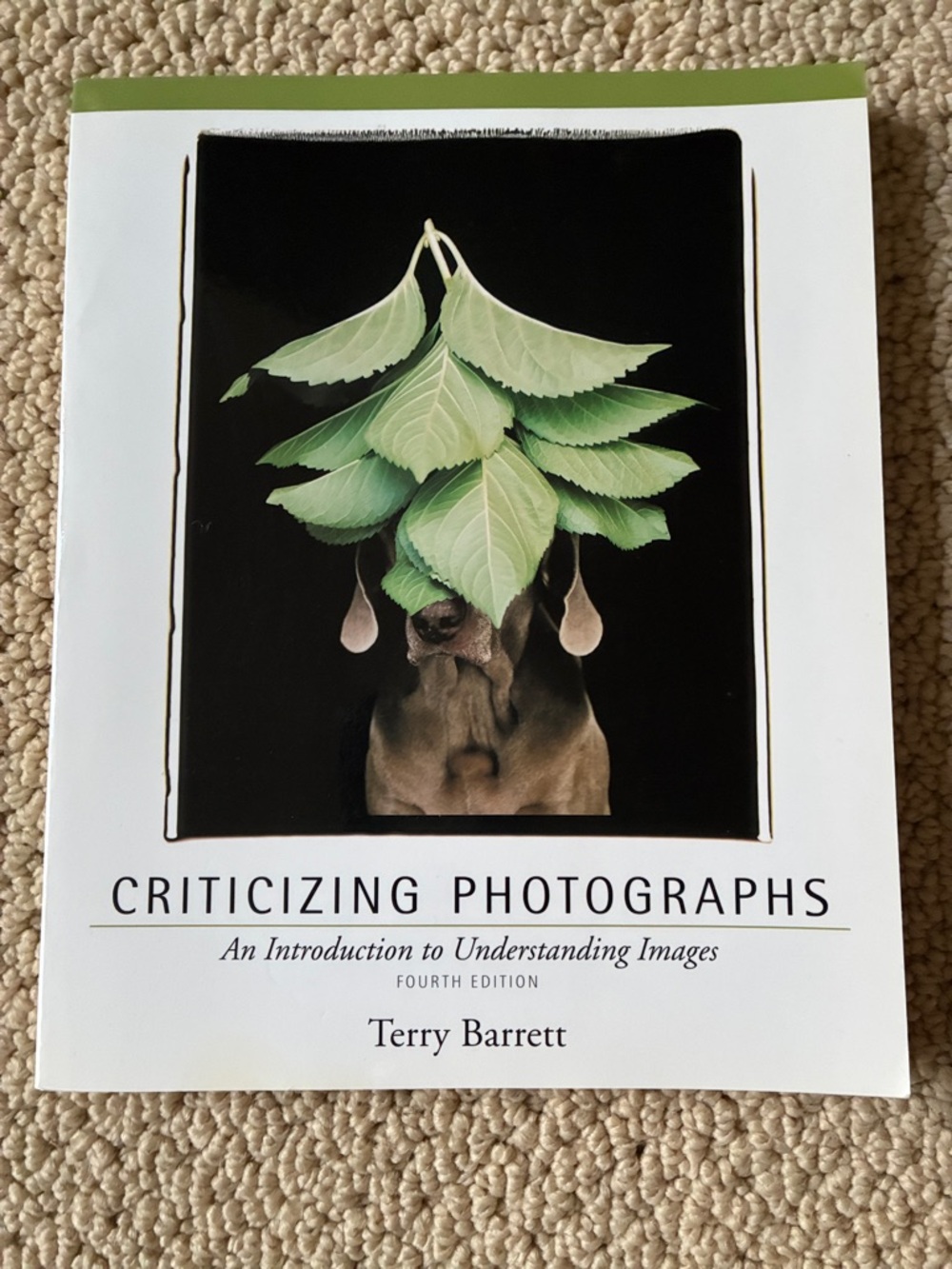 Criticizing Photographs An Introduction to Understanding Images Fourth Edition